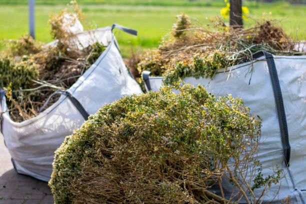Best Appliance Removal  in Cahokia, IL